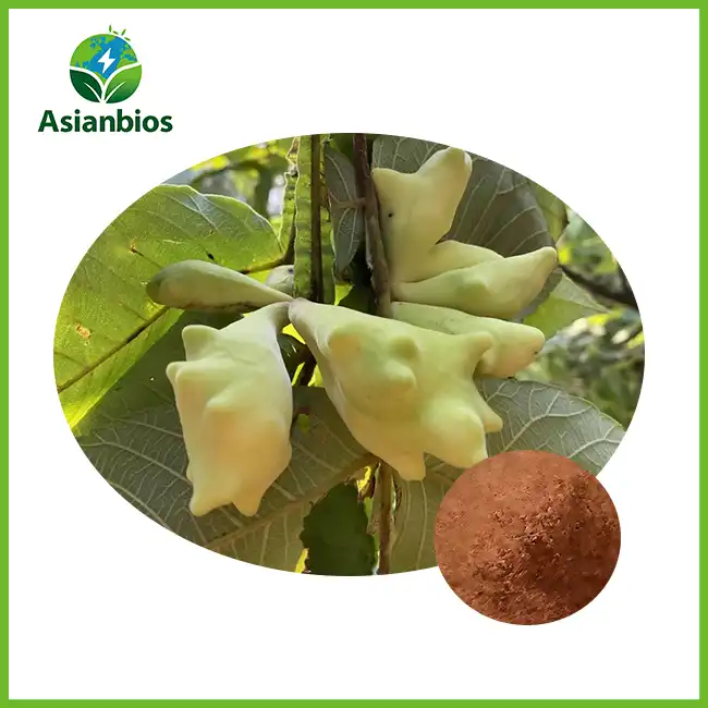 Gallnut extract Gallnut extract